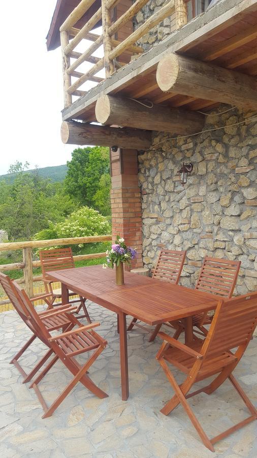 מלון Poiana  Casa Din Piatra מראה חיצוני תמונה