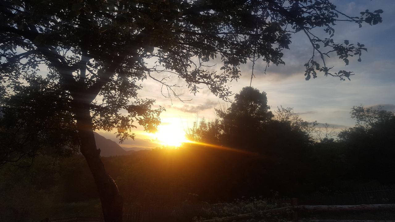 מלון Poiana  Casa Din Piatra מראה חיצוני תמונה