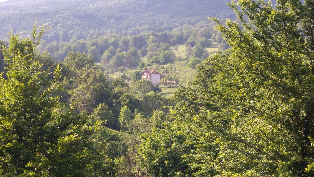 מלון Poiana  Casa Din Piatra מראה חיצוני תמונה