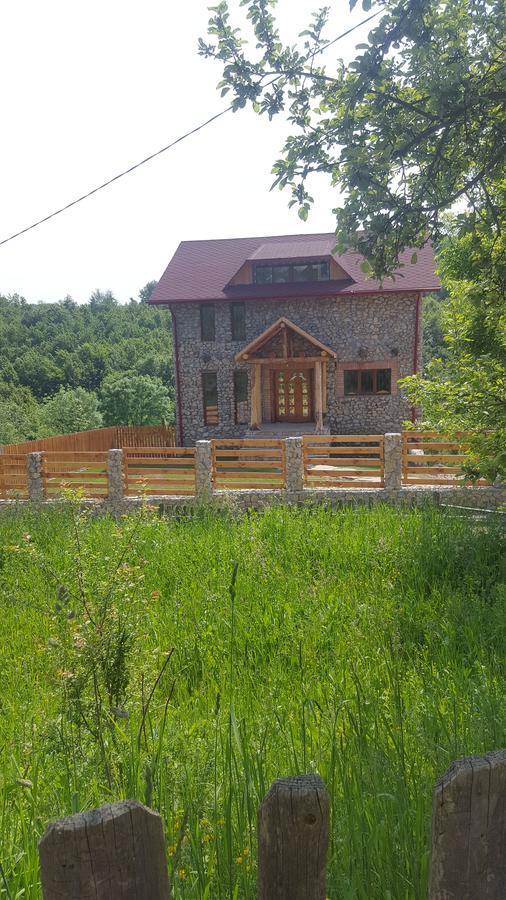 מלון Poiana  Casa Din Piatra מראה חיצוני תמונה