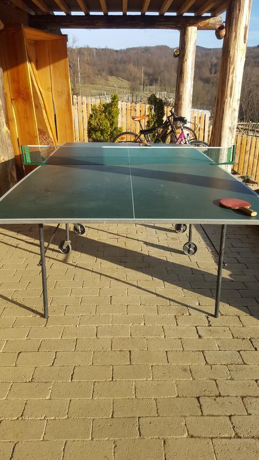 מלון Poiana  Casa Din Piatra מראה חיצוני תמונה