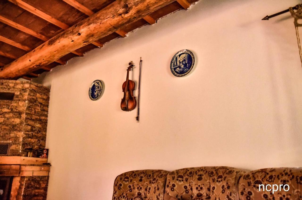 מלון Poiana  Casa Din Piatra מראה חיצוני תמונה